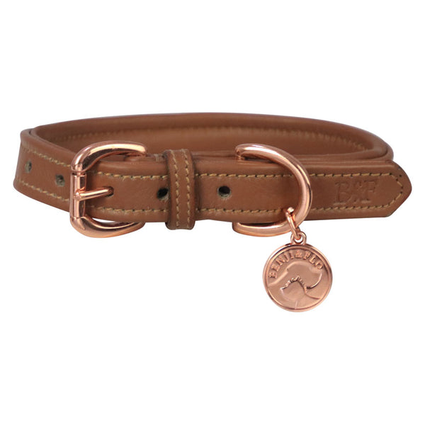 Benji & Flo Deluxe Padded Leather Dog Collar in Tan