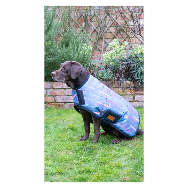 Dog wearing Dorris The Dachshund Dog Coat