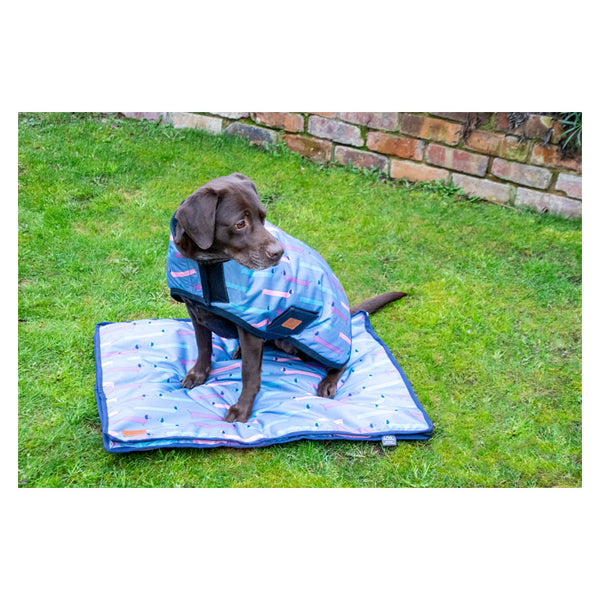Dog wearing Dorris The Dachshund Dog Coat with matching dog bed