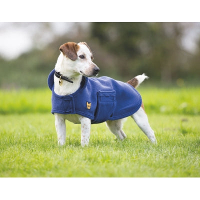 Dog wearing Digby & Fox Dog Towel Coat