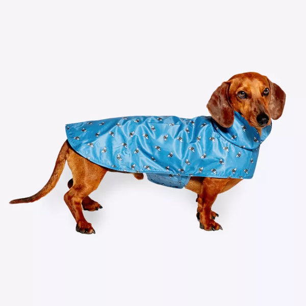 Dog wearing Danish Design FatFace Spotty Bees Raincoat