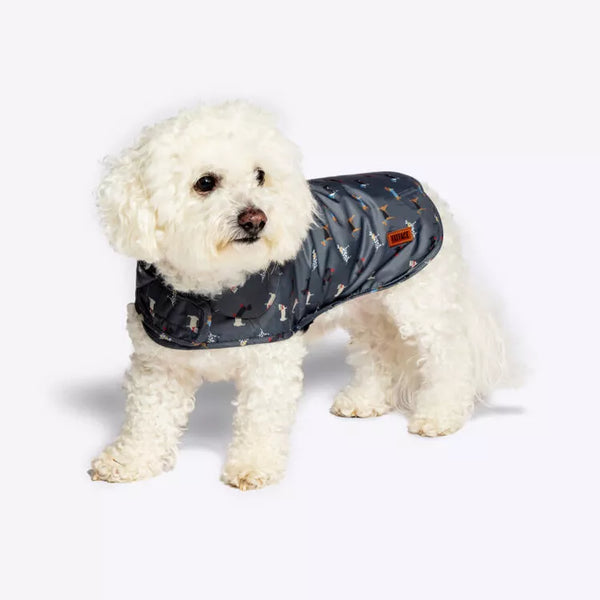 Dog wearing Danish Design FatFace Marching Dogs Raincoat