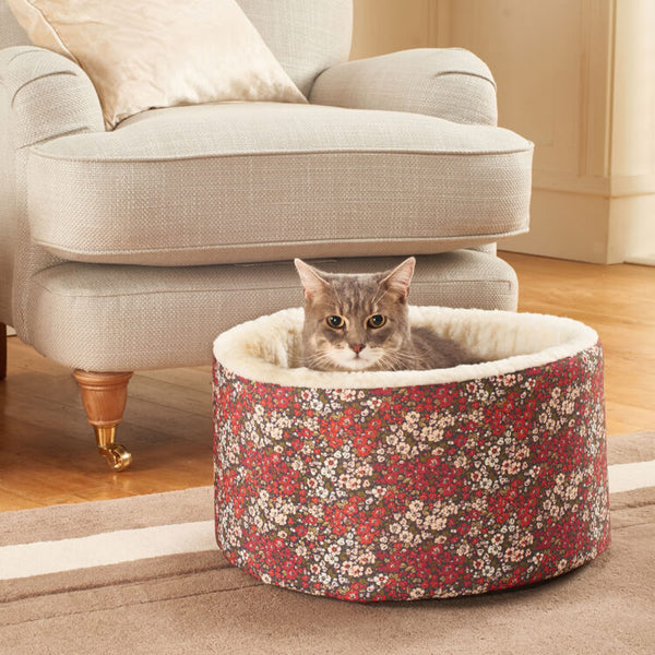 Cat sitting in Laura Ashley Libby Cat Cosy Bed