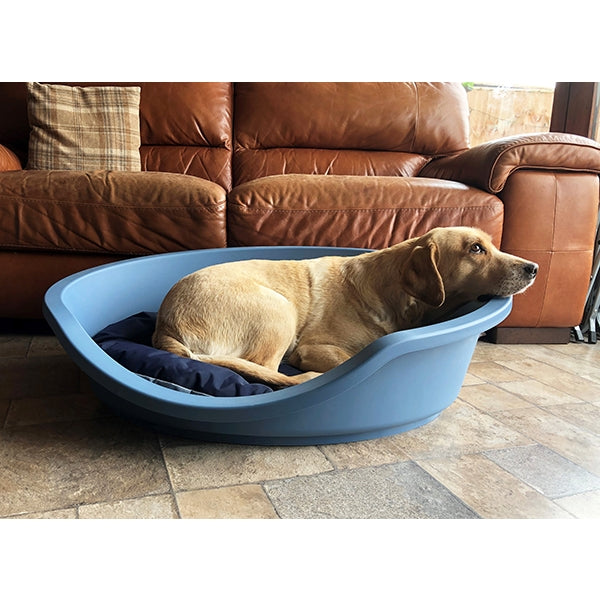 Dog laying in Eco Line Plastic Bed