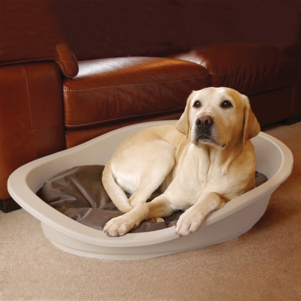 Dog laying in Sonny Mocha Plastic Dog Bed