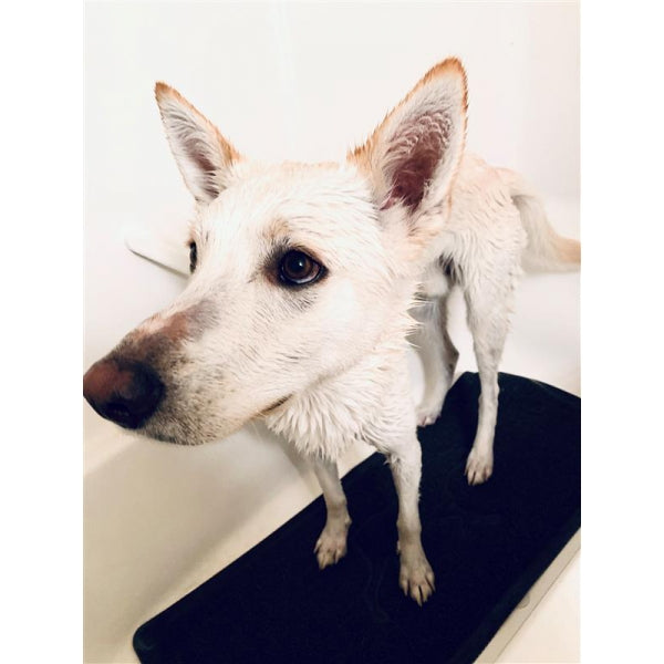 Dog stood on Tall Tails – Wet Paws Bath Mat