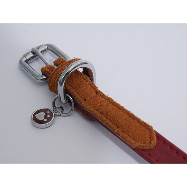 Soft Touch Red & Tan Collar & Matching Lead