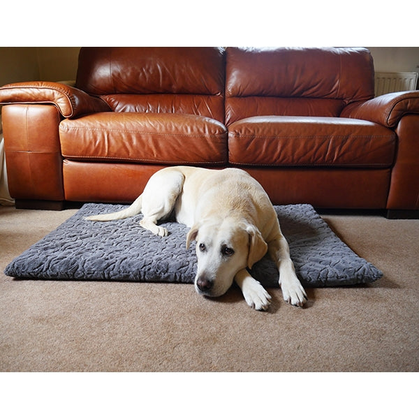 Dog laying on Bone Plush Mattress