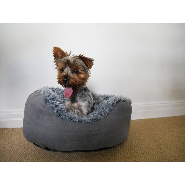 Dog in Grey Faux Suede Bed