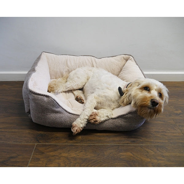 Dog lounging in Luxury Truffle Bed
