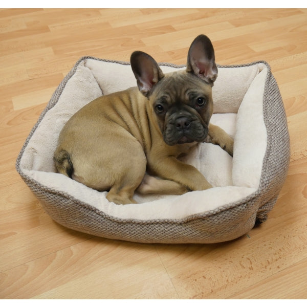 Dog laying down in Luxury Truffle Bed
