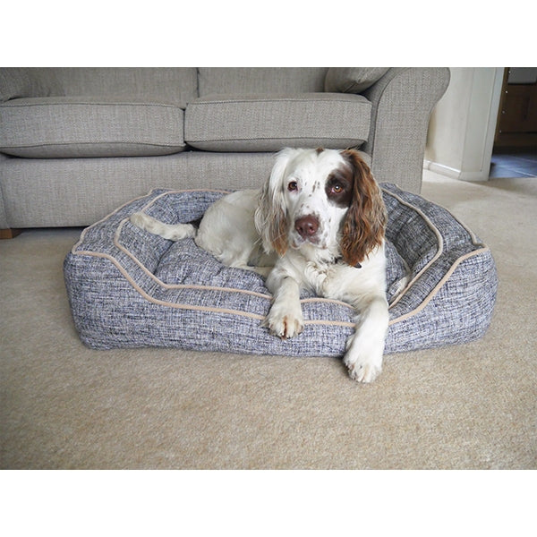 Dog laying in Luxury Slate and Oatmeal Bed 