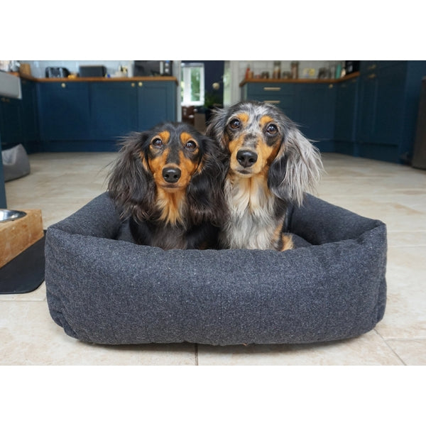 Two dogs laying in Grey Felt With Memory Foam Bed