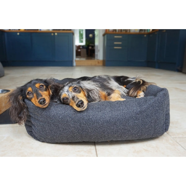 Dogs lounging in Grey Felt With Memory Foam Bed