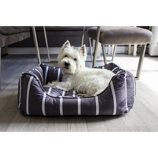 Dog in Grey Velvet Stripes Bed