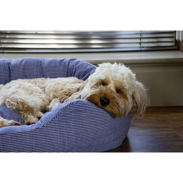 Dog laying in Blue Sky Stripes Bed