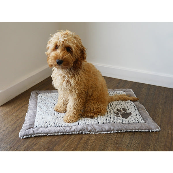 Dog sat on Grey Luxury Plush Blanket