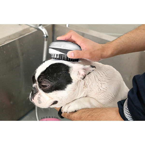 Dog being groomed with 2 in 1 Bath & Groom Brush