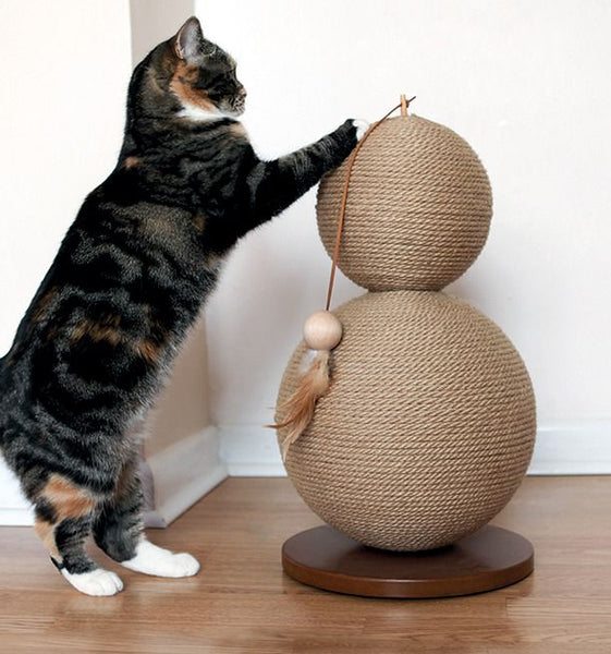 Cat playing with Coriander Cat Scratcher