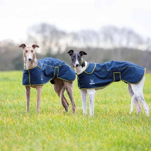 Digby & Fox Softshell Greyhound Coat