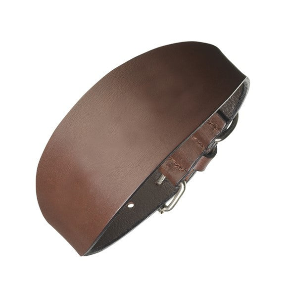 Pampeano Lurcher Dog Collar - Plain Leather