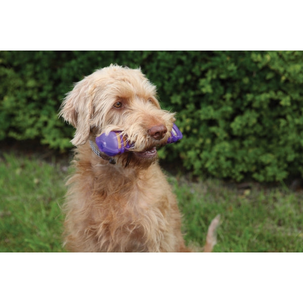 Dog holding Giggle Bone