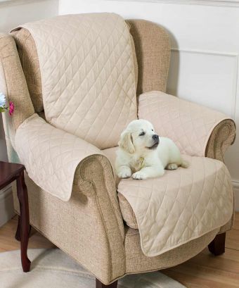 Crufts Armchair Cover