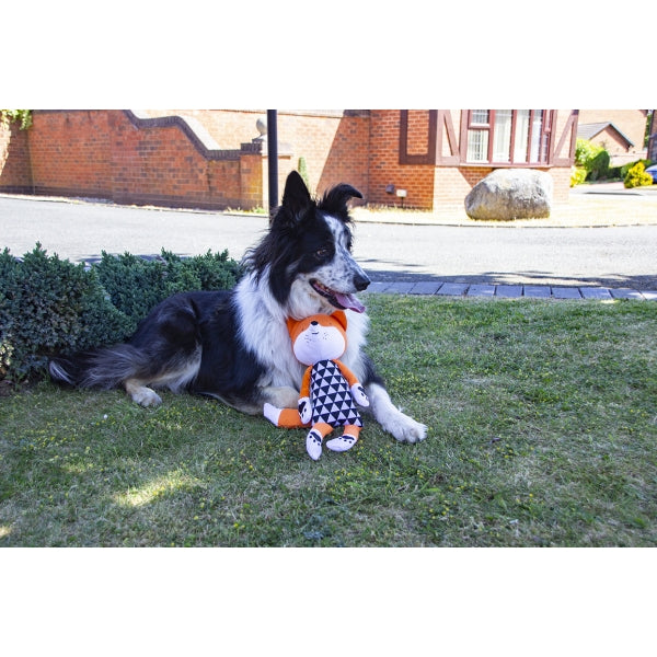 Dog with Chubleez – Mr Fox
