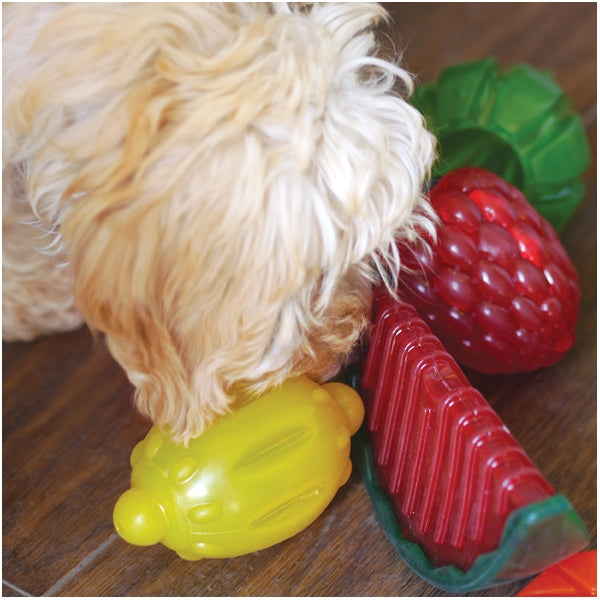 Dog playing with biosafe fruit selection