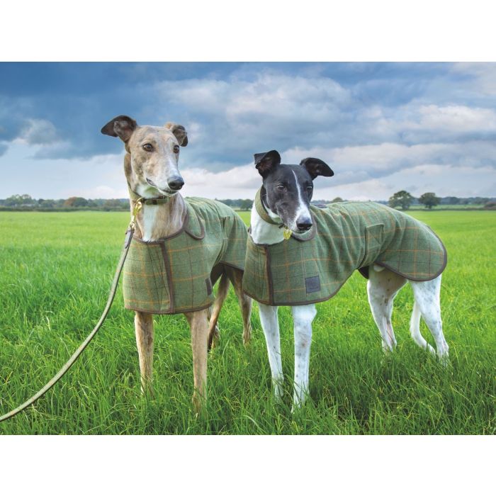 Digby & Fox Tweed Greyhound Coat
