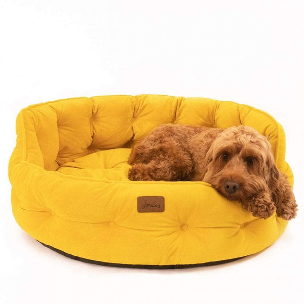 Dog laying in Joules Chesterfield Pet Bed in yellow