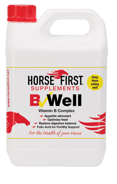 Horse First - B Well