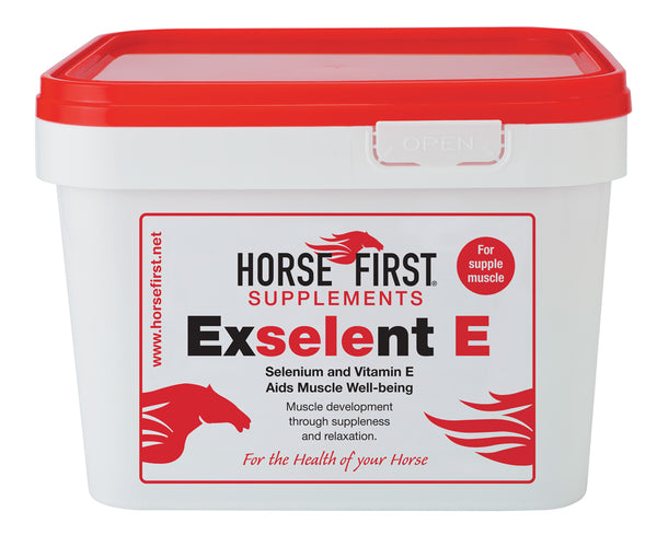 Horse First - Exselent E