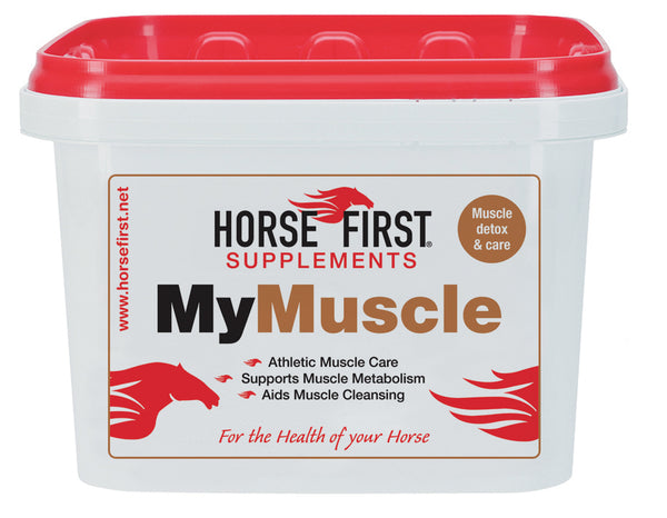Horse First - My Muscle
