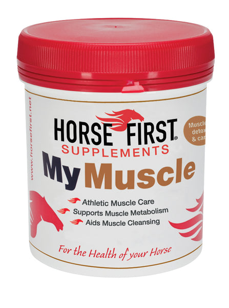 Horse First - My Muscle