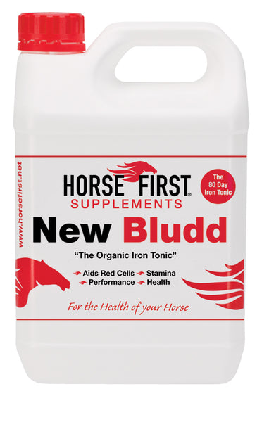 Horse First - New Bludd