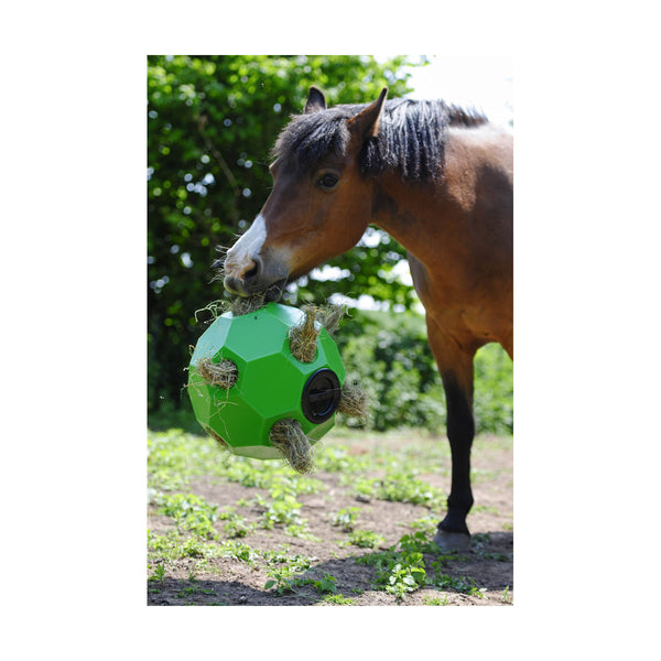 Parallax Hay Play (Large Holes)