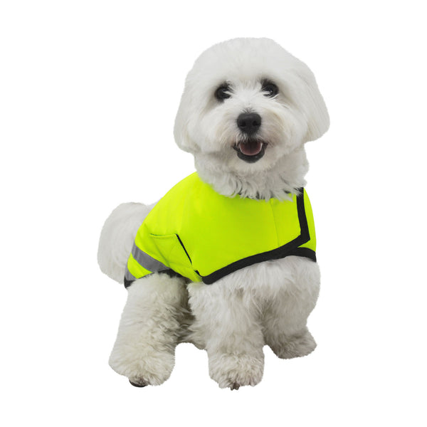 Front view of small dog wearing Benji & Flo Reflector Waterproof Dog Coat by Hy Equestrian in yellow