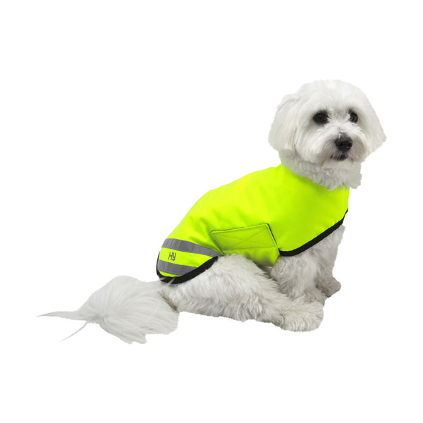 Dog wearing Benji & Flo Reflector Waterproof Dog Coat by Hy Equestrian in yellow