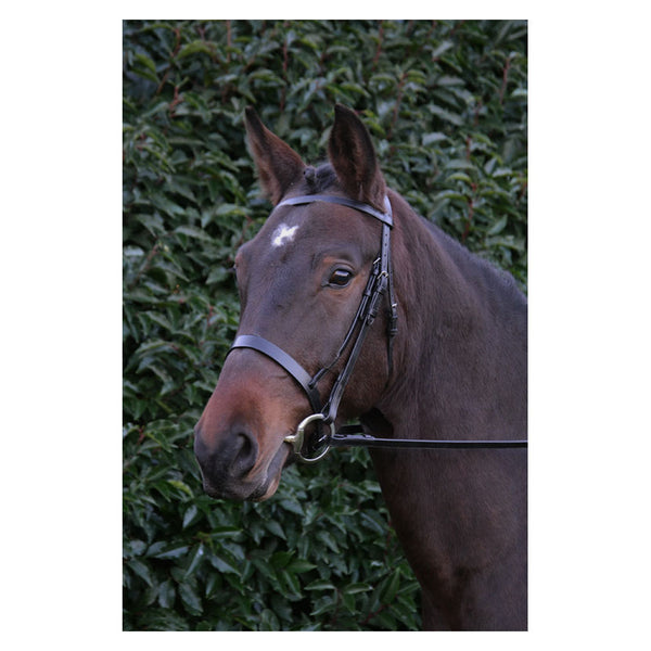 Hy Equestrian Hunter Bridle with Rubber Grip Reins