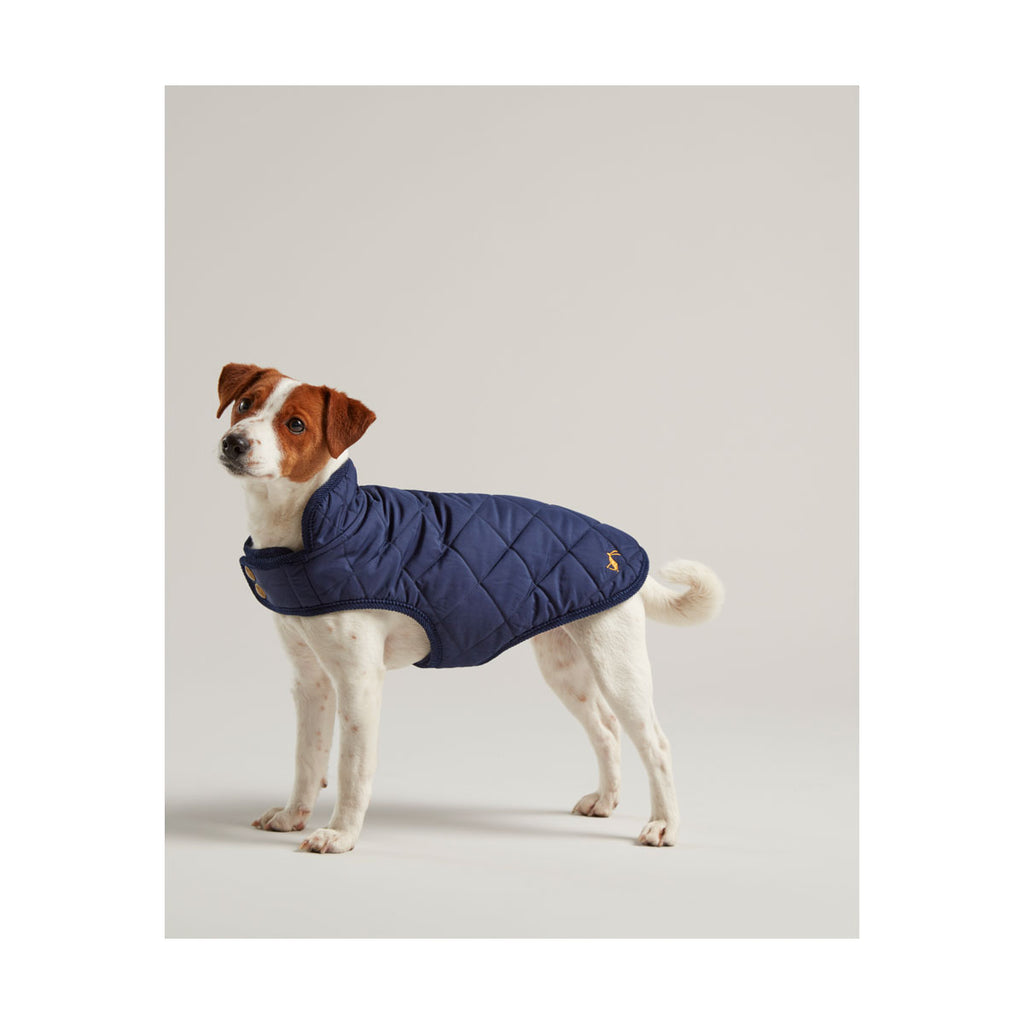Dog wearing Joules Quilted Dog Coat in Navy