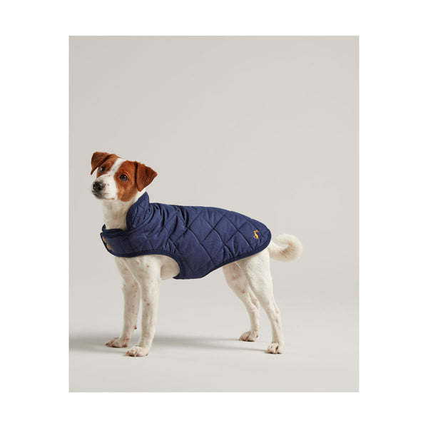 Dog wearing Joules Quilted Dog Coat in Navy