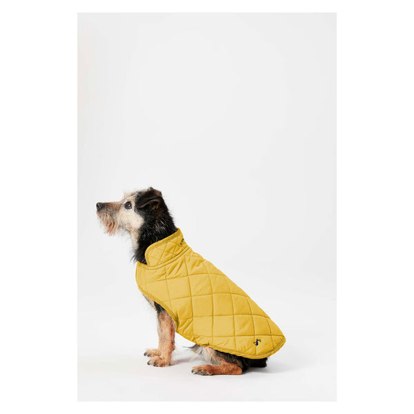 Dog sitting in Joules Quilted Dog Coat in Antique Gold