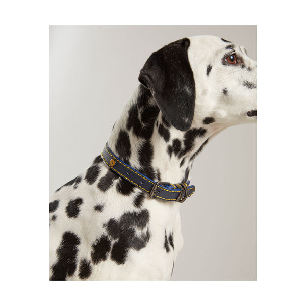 Joules Leather Dog Collar in navy