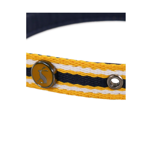 Close up of Joules Coastal Dog Collar