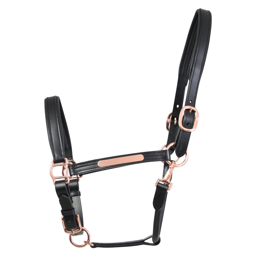 Hy Equestrian Leather Head Collar with Rose Gold Fittings