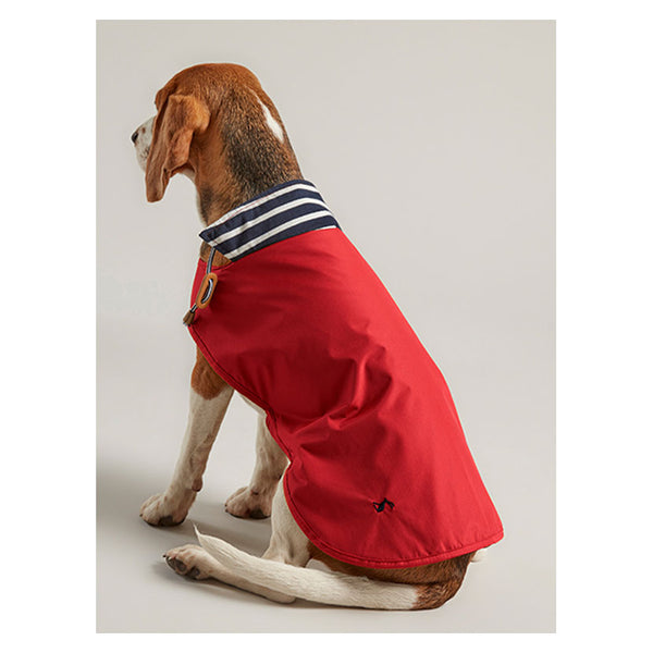 Rear view of dog wearing Joules Raincoat in red