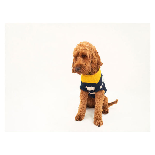 Front view of dog wearing Joules Coastal Jumper