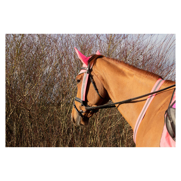 Reflector Martingale by Hy Equestrian