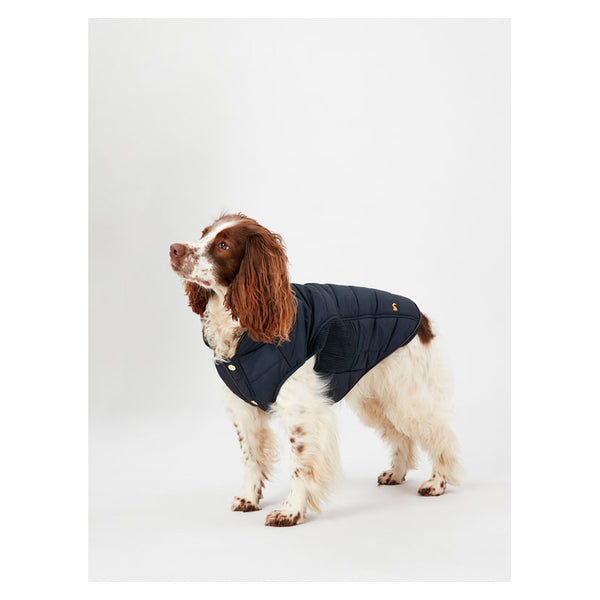 Dog wearing Joules Cherington Dog Coat